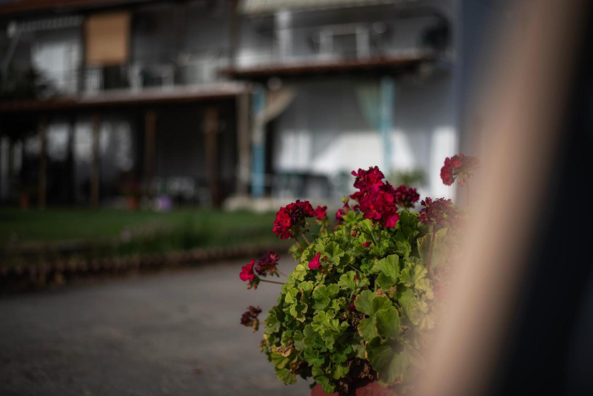Marilena Apartments Anastasiou Велика Экстерьер фото